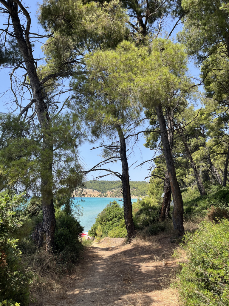 Διαδρομή Σάνι Κύψα